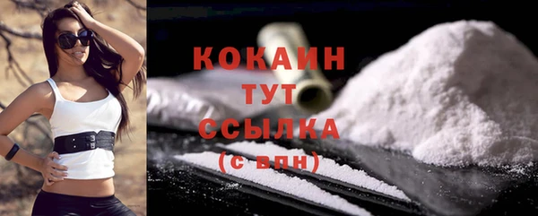 стаф Бородино
