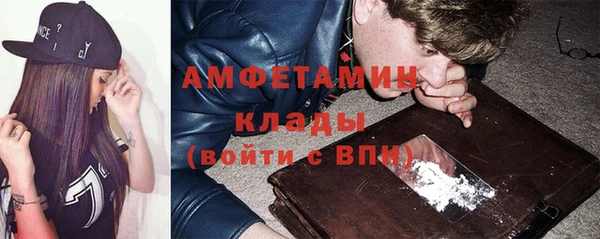 гидра Верея