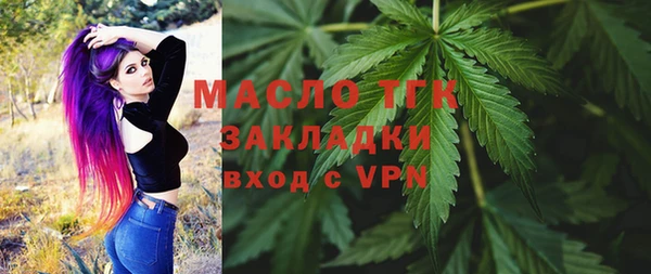 стаф Бородино
