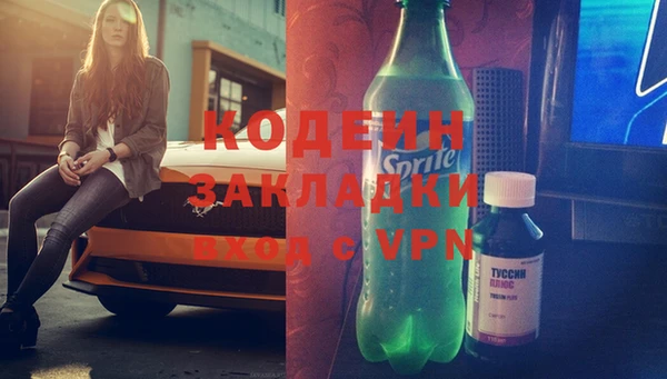 стаф Бородино