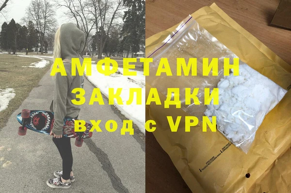 стаф Бородино