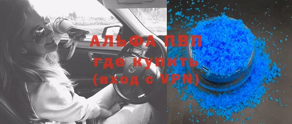 стаф Бородино